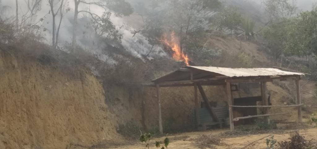 Urge la activación del comando unificado contra incendios forestales en Bailadores